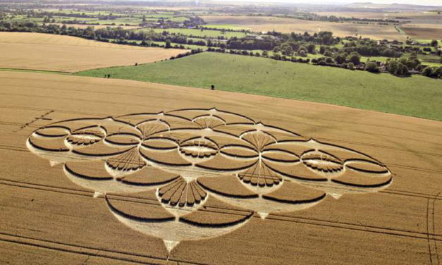 Crop circles: Accounts of direct sightingS